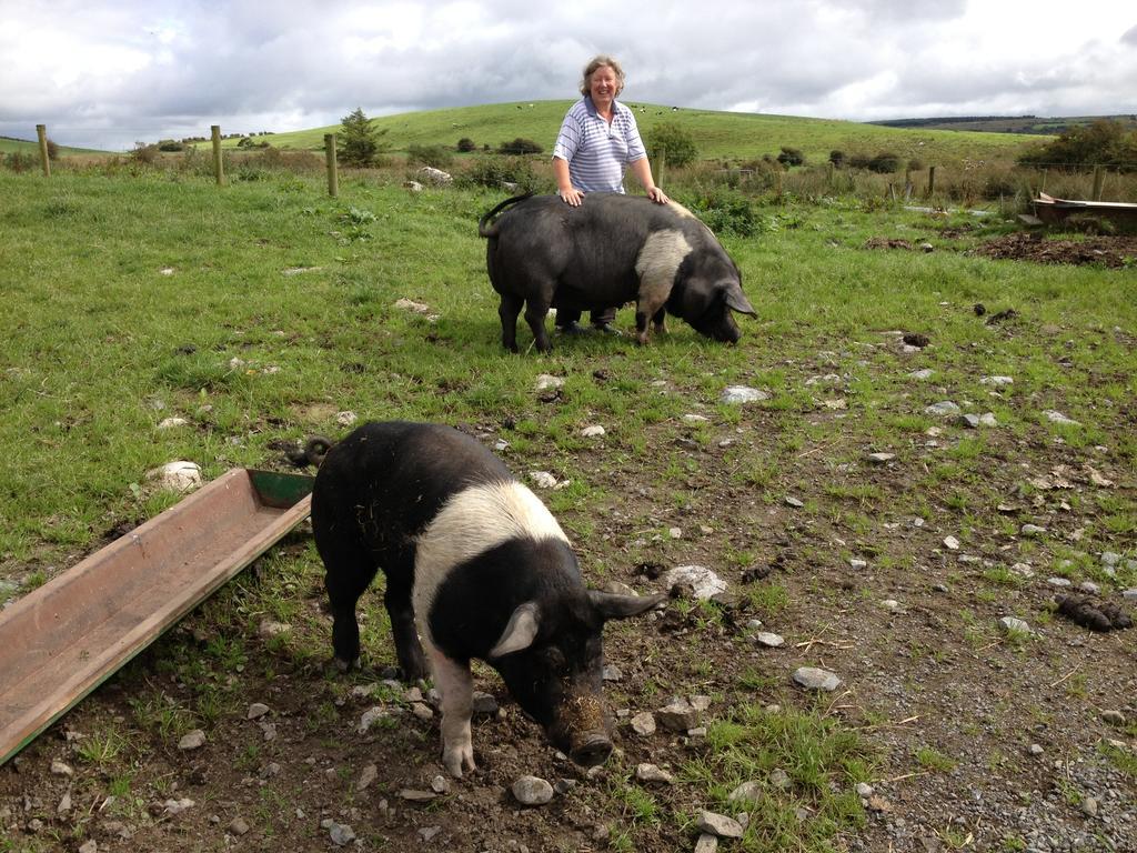 Burren Glamping Villa Kilfenora Bagian luar foto